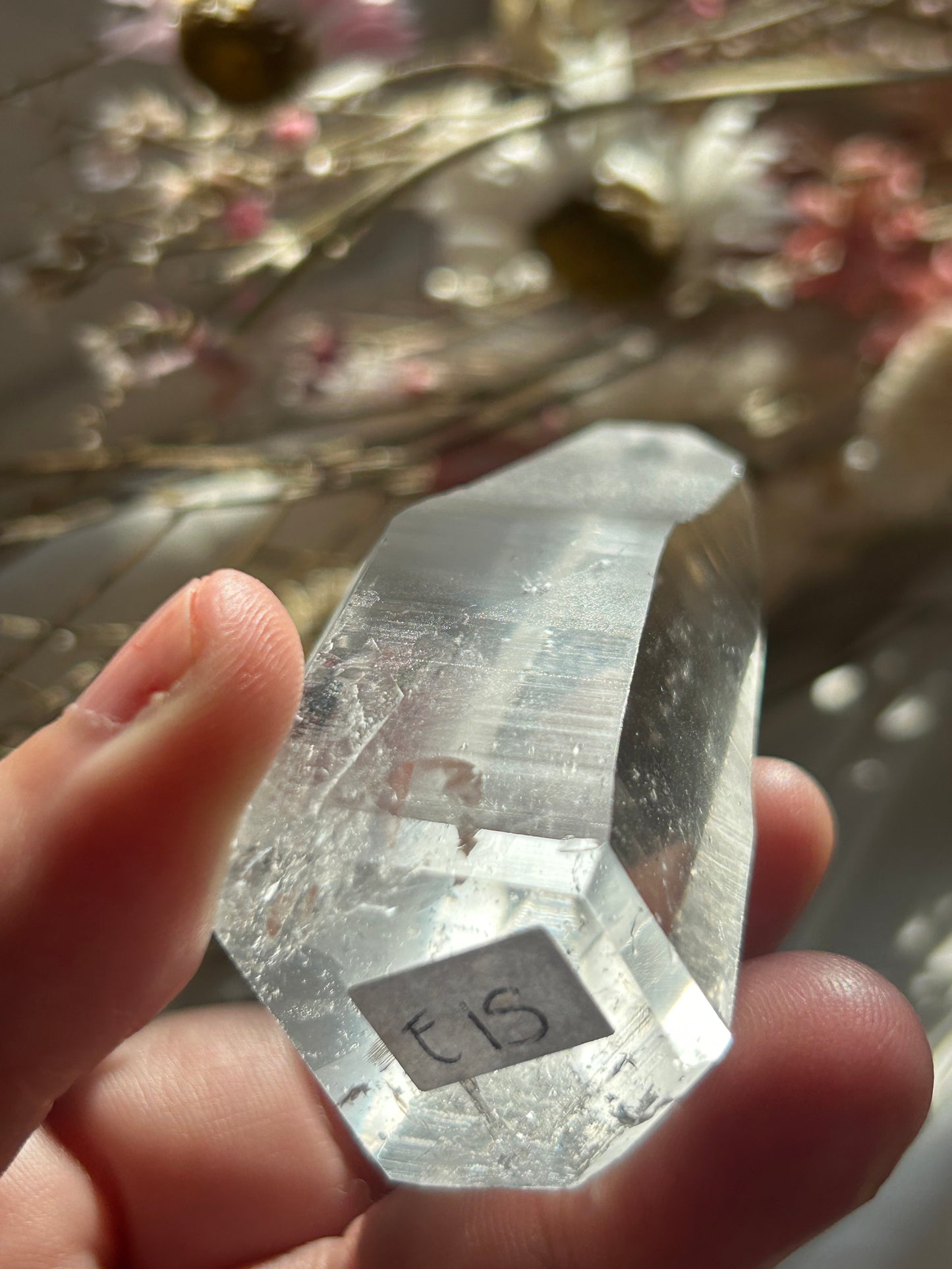 Semi Polished Lemurian