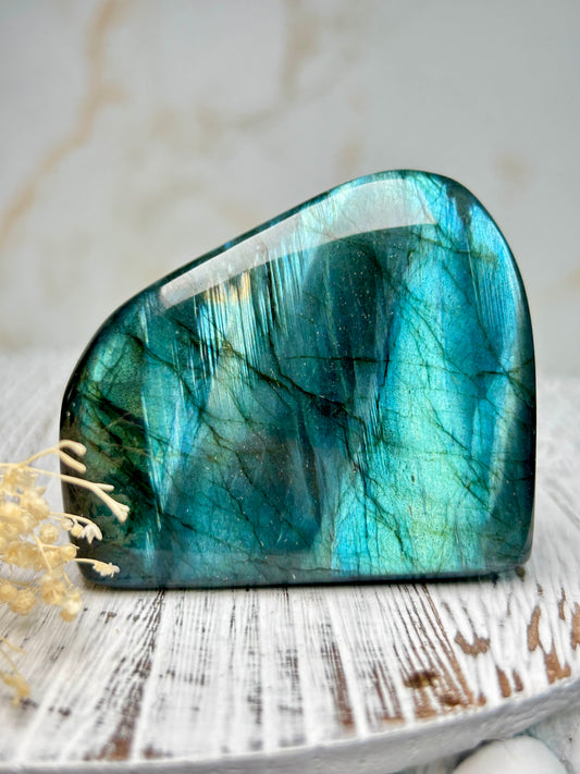 Polished labradorite freeform with vivid blue flash and iridescent surface on a distressed white wooden board with dried cream flowers