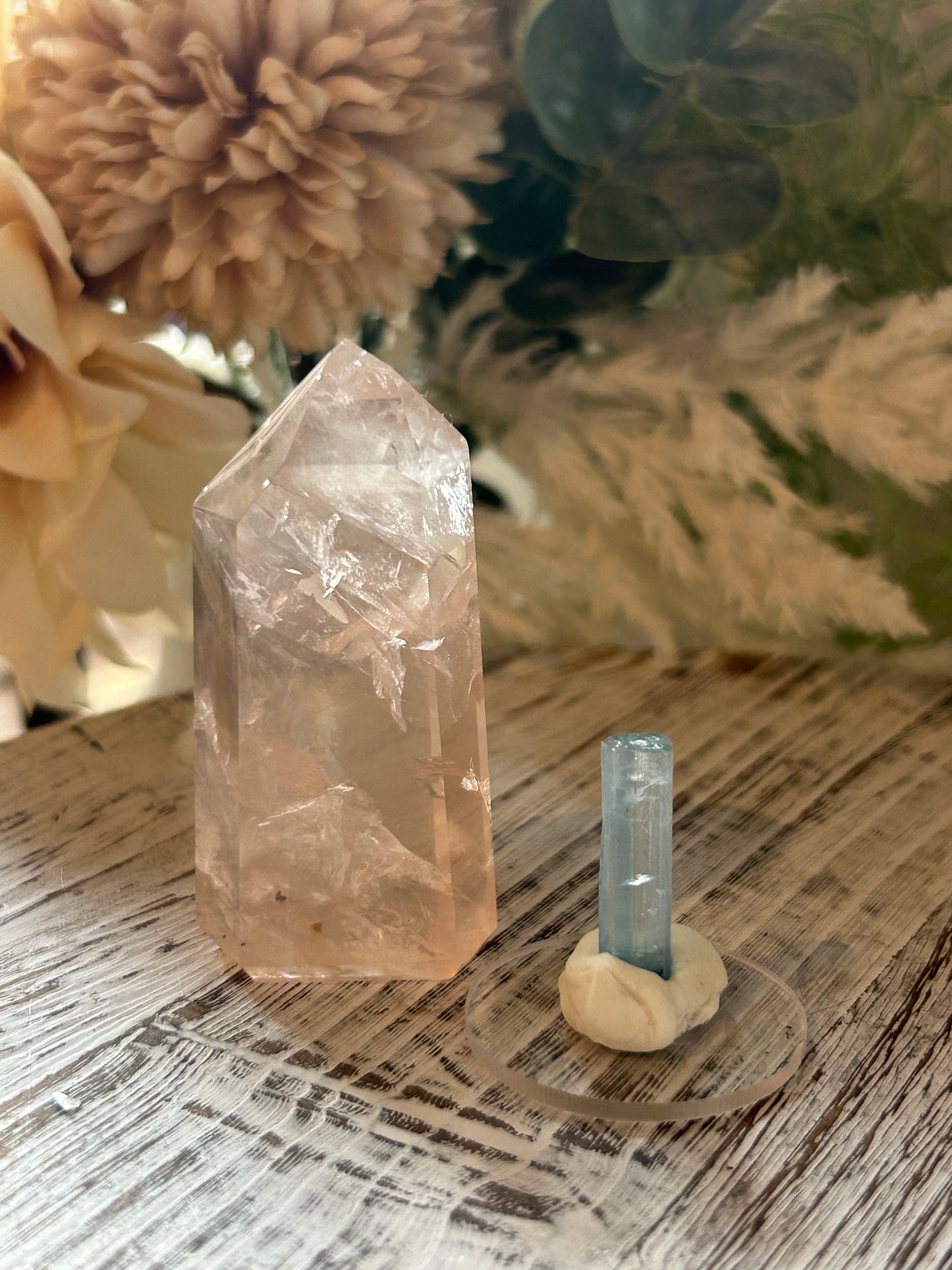 Listing for aggies_crystal