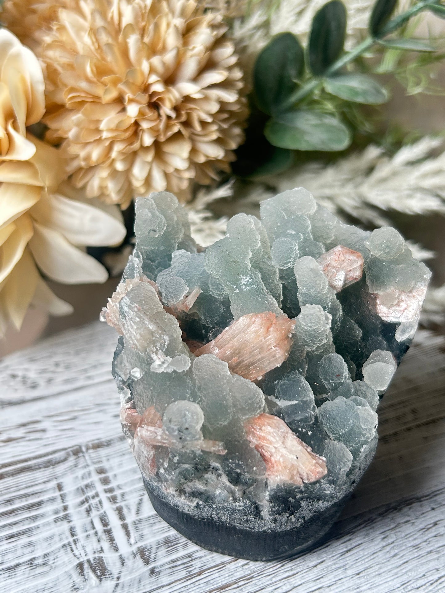 Stilbite on chalcedony cluster with peach fan-shaped crystals on blue grey matrix natural mineral specimen