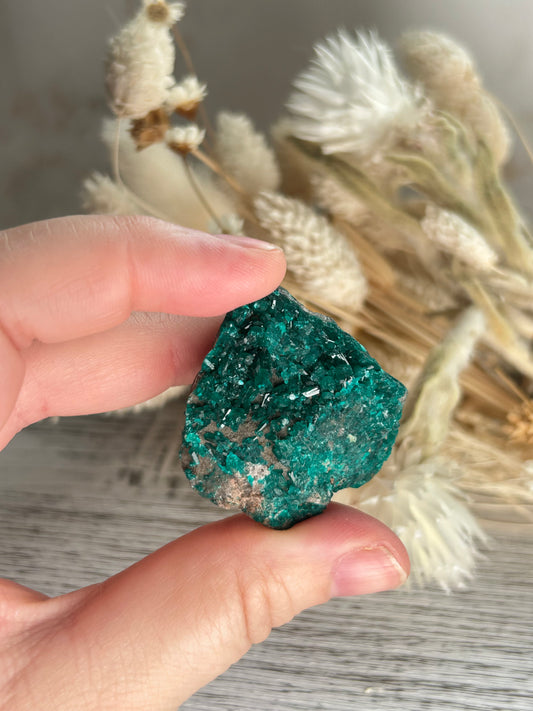Rare dioptase mineral specimen for collectors and crystal healing