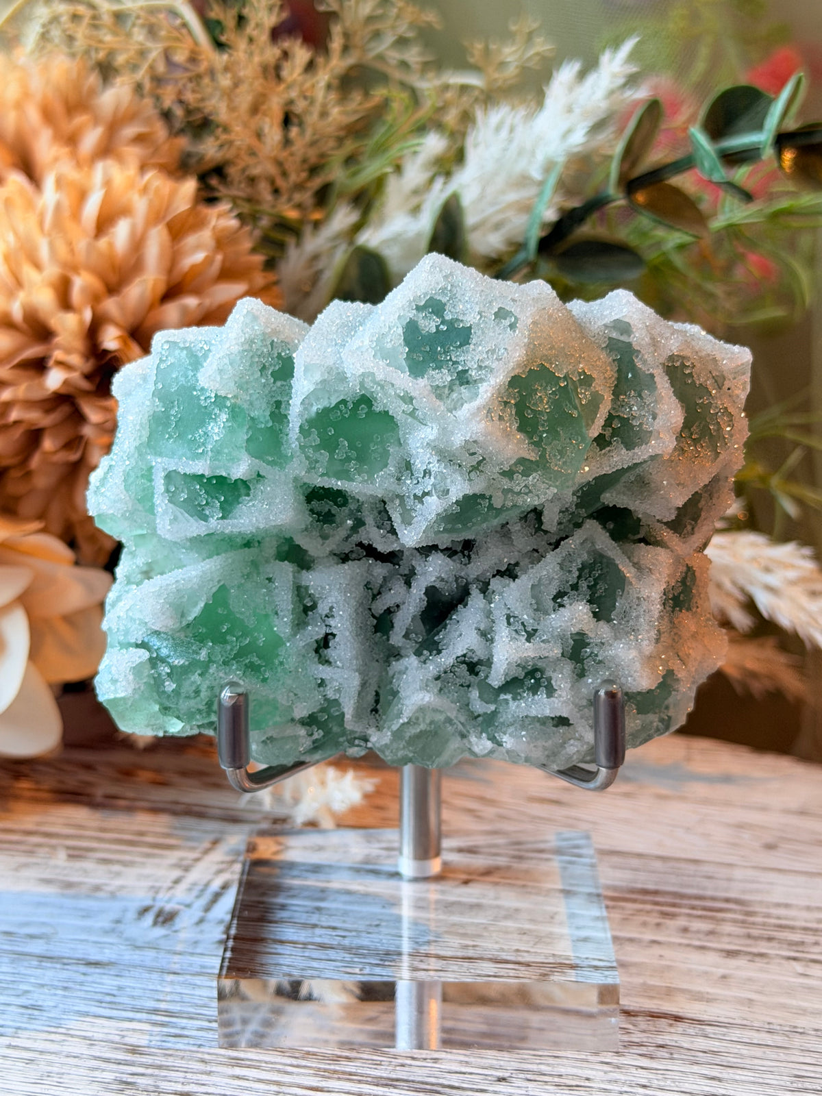 Green Sugar Fluorite Cluster - Stand Included