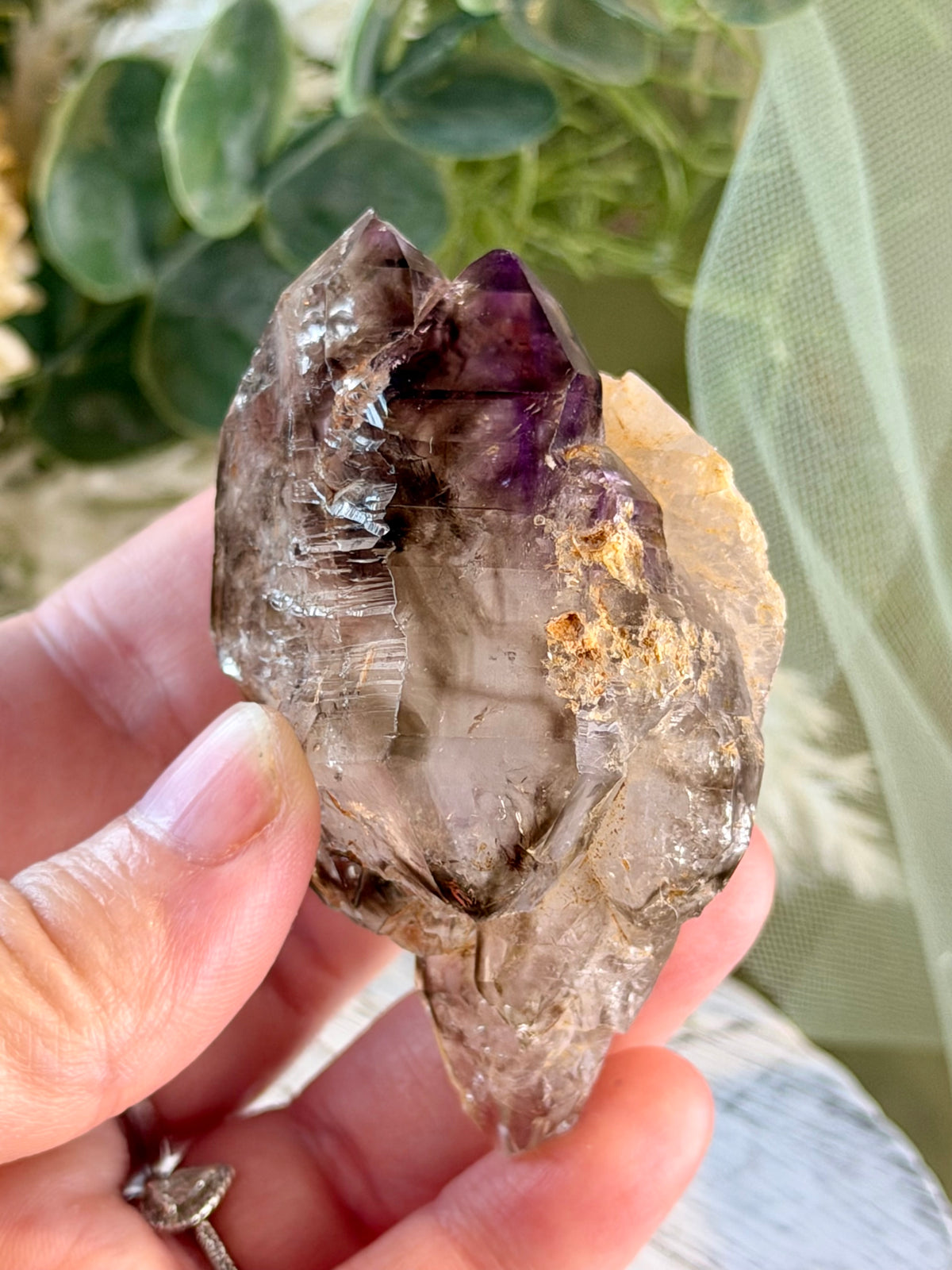 Polished Amethyst Elestial | Brazil | Scepter