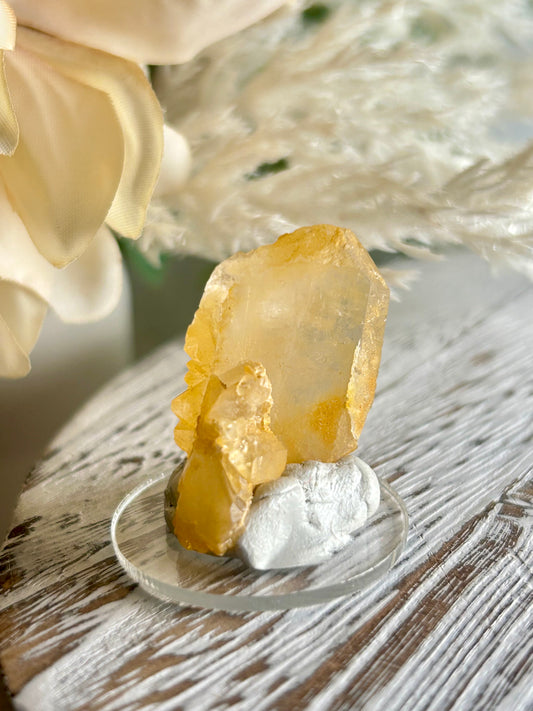 Mini Swiss Quartz crystal point with soft champagne clarity, natural termination and self-healed base, displayed on glass stand with neutral dried florals background.