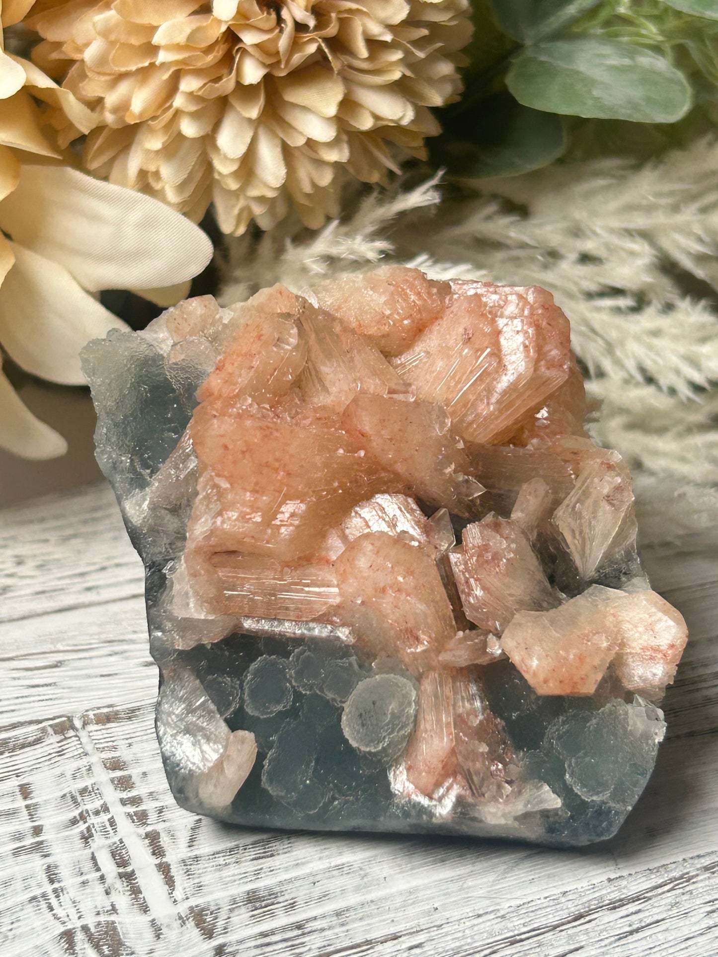 Stilbite on chalcedony cluster with peach fan-shaped crystals on blue grey matrix natural mineral specimen