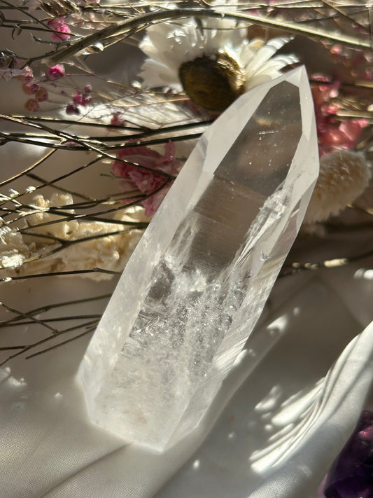 Semi Polished Lemurian