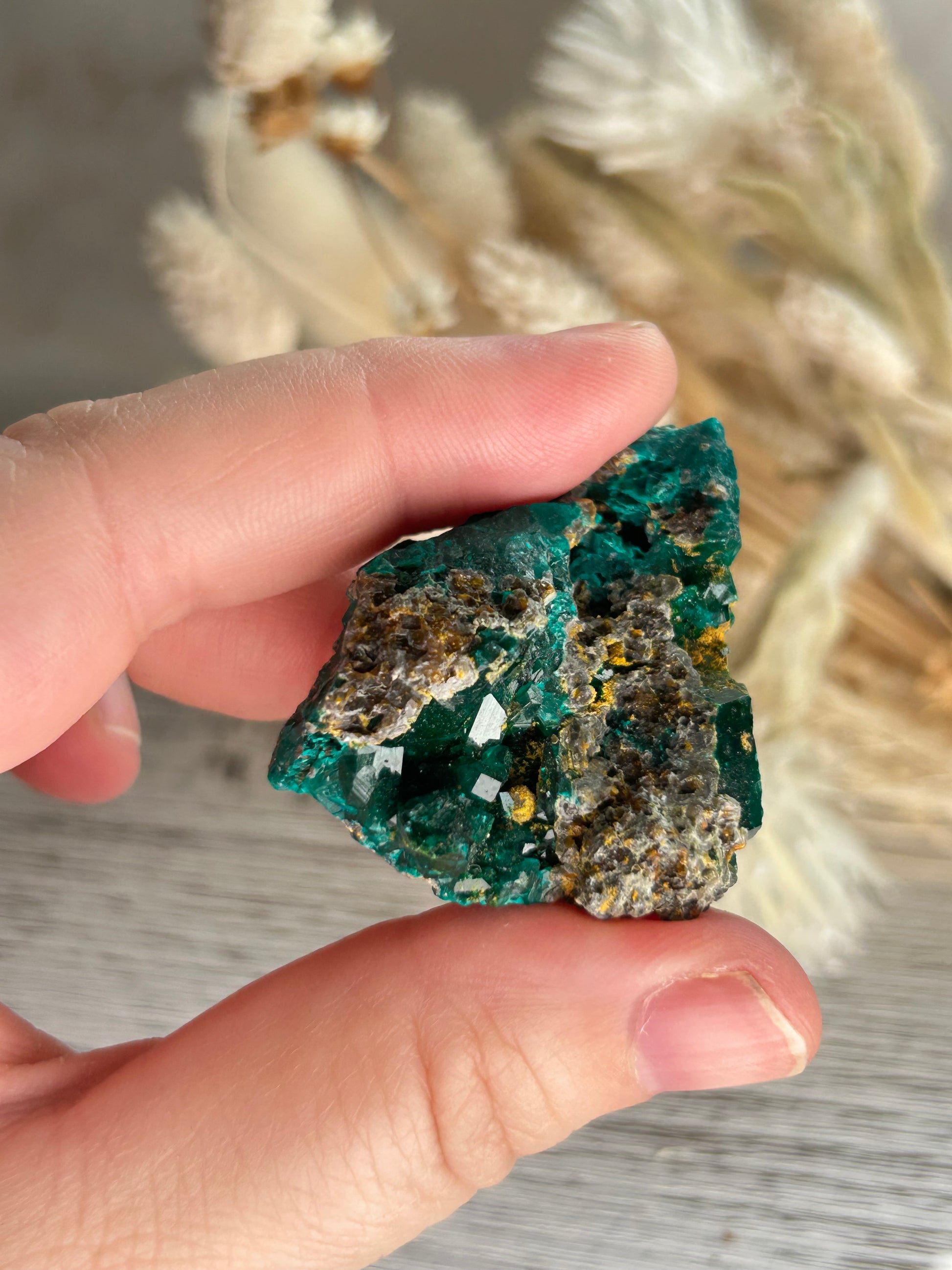 Rare dioptase mineral specimen for collectors and crystal healing