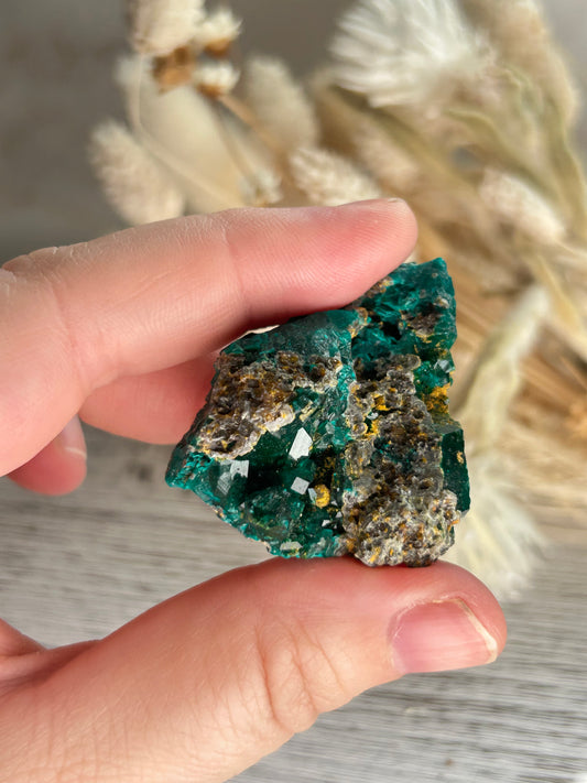 Rare dioptase mineral specimen for collectors and crystal healing