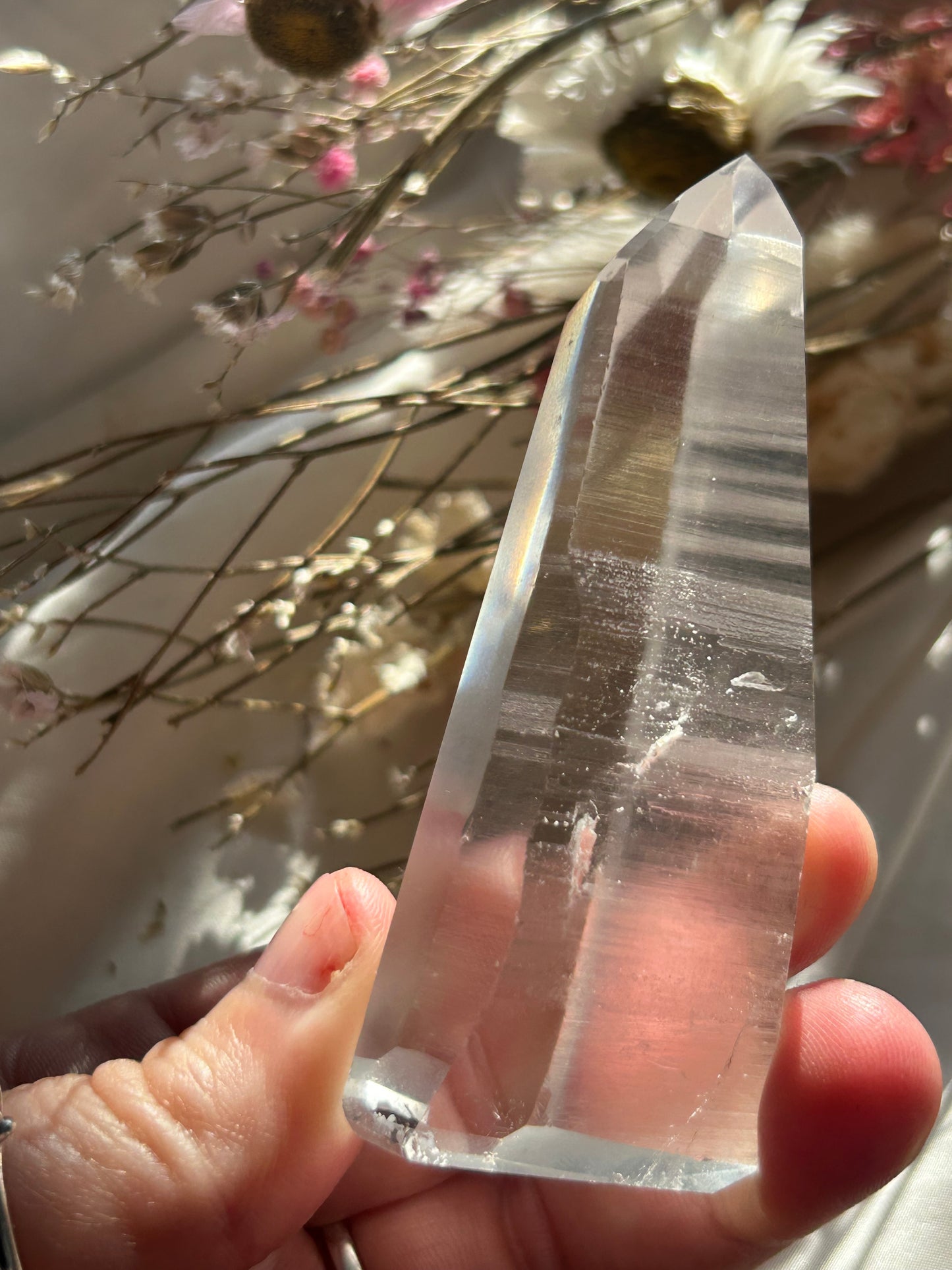 Semi Polished Lemurian