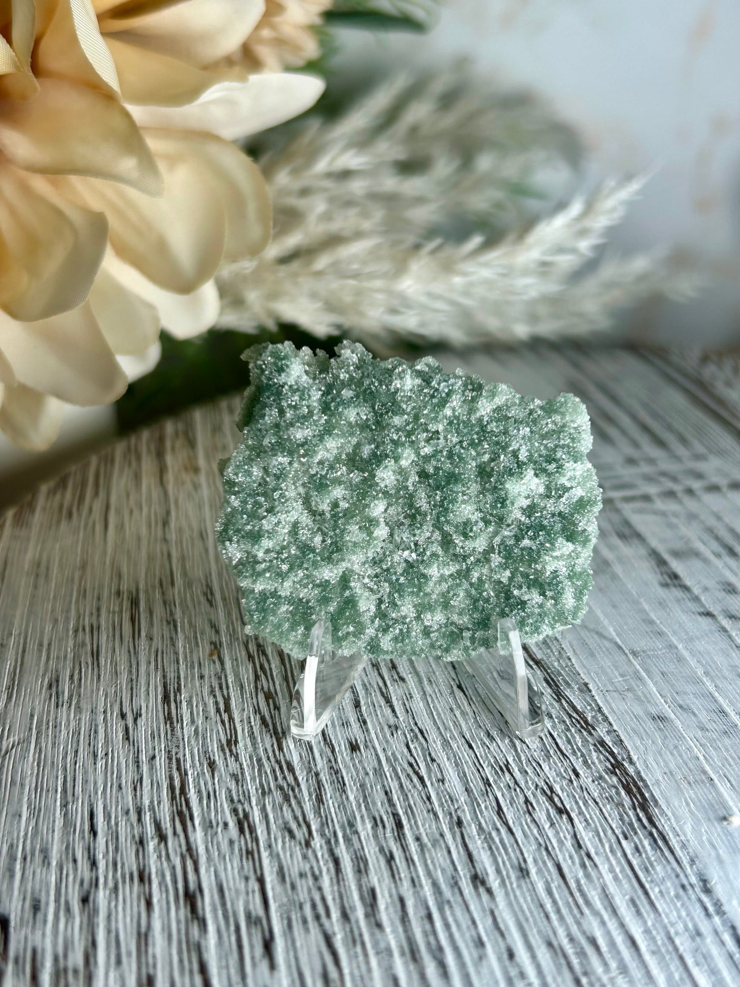Natural Green Apophyllite crust crystal cluster with sparkling druzy points on display stand from India
