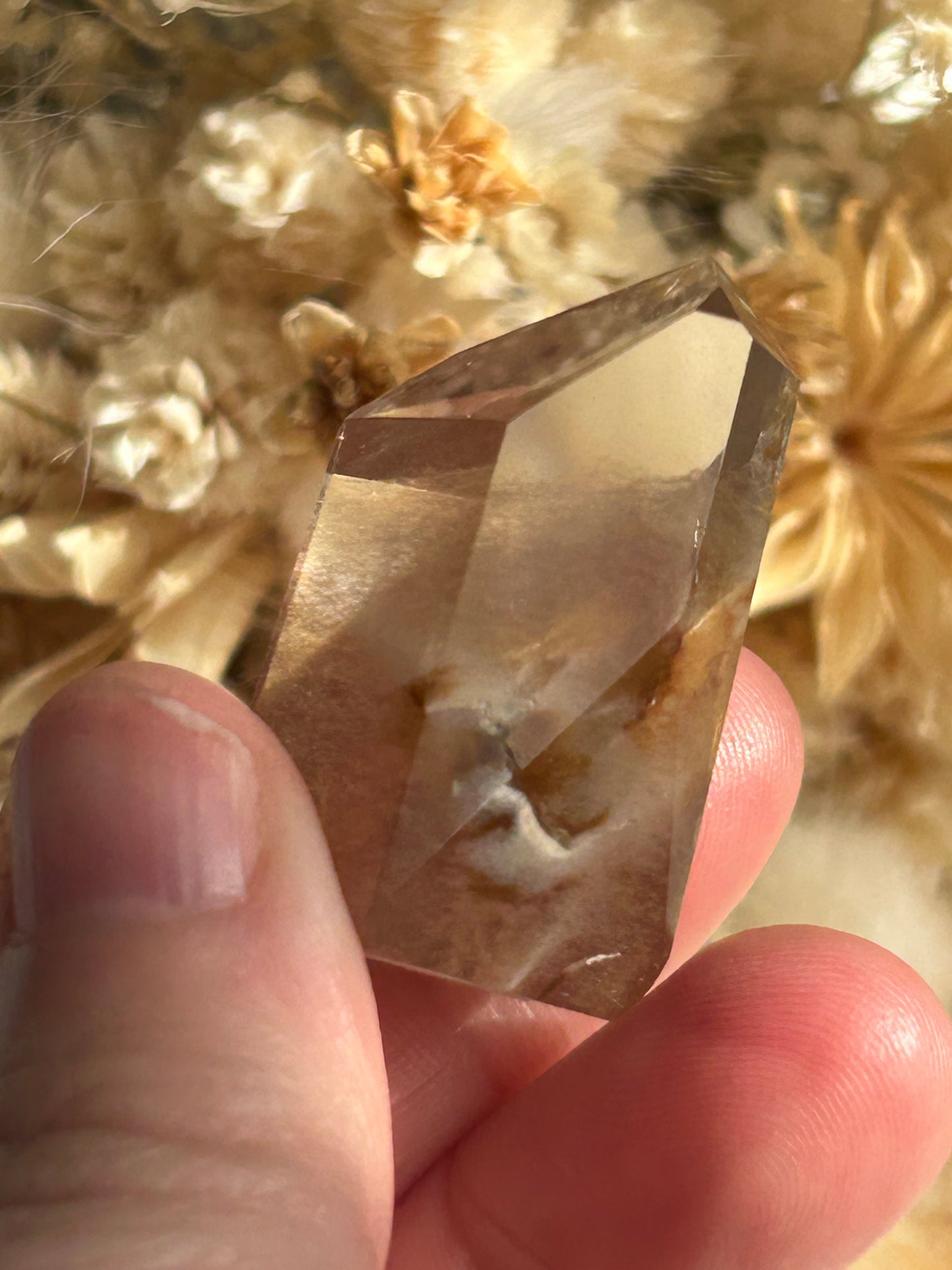 Amphibole