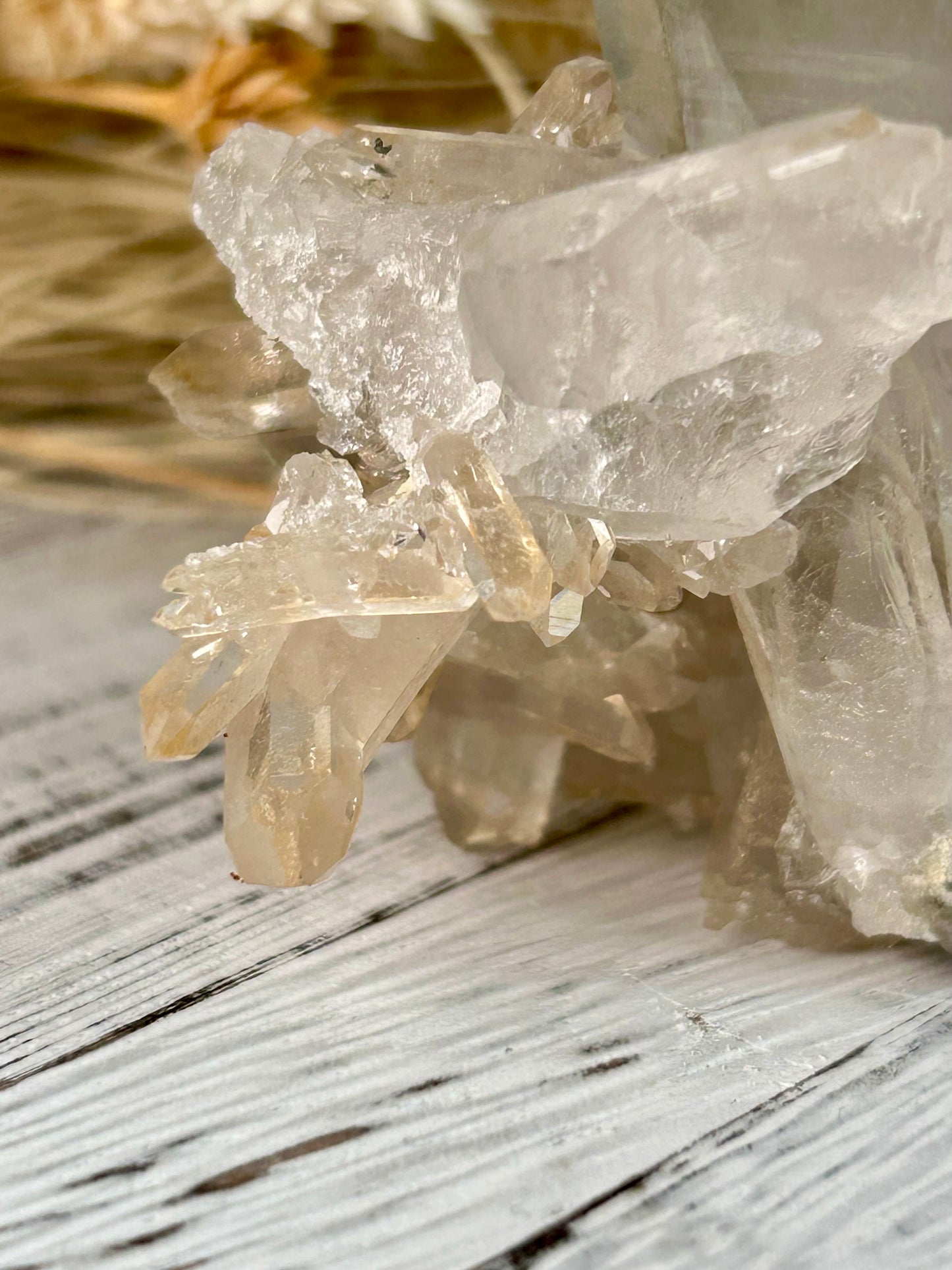 Golden Sea de Souza Quartz Cluster – Radiance, Clarity & Amplification