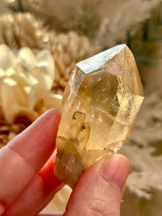 Kundalini Citrine crystal from the Democratic Republic of Congo displaying golden honey tones and unique crystal formations. Individual Citrine specimen suitable for crystal collectors and enthusiasts.