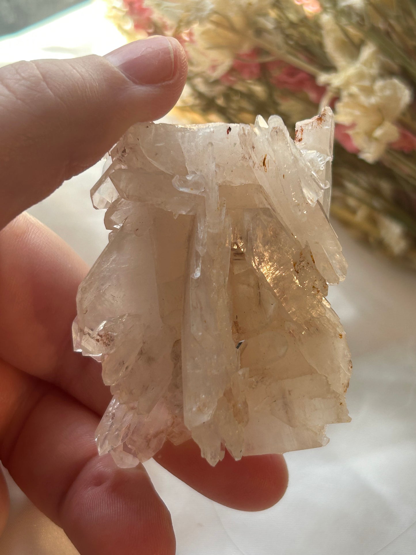 Sacred Pink Lemurian / tabular Quartz