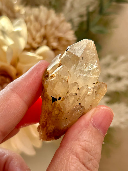 Kundalini Citrine crystal from the Democratic Republic of Congo displaying golden honey tones and unique crystal formations. Individual Citrine specimen suitable for crystal collectors and enthusiasts.