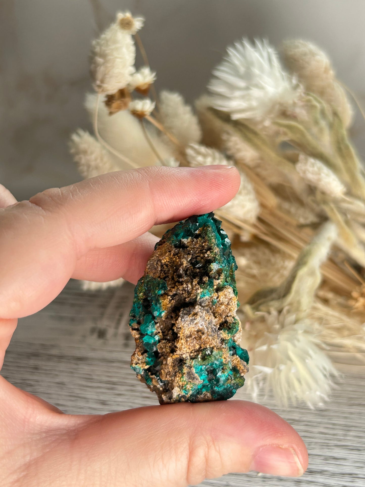 Dioptase Crystal | Rare Emerald Green Healing Stone