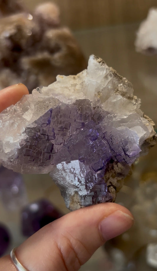 Listing for Jenni.Gardner1