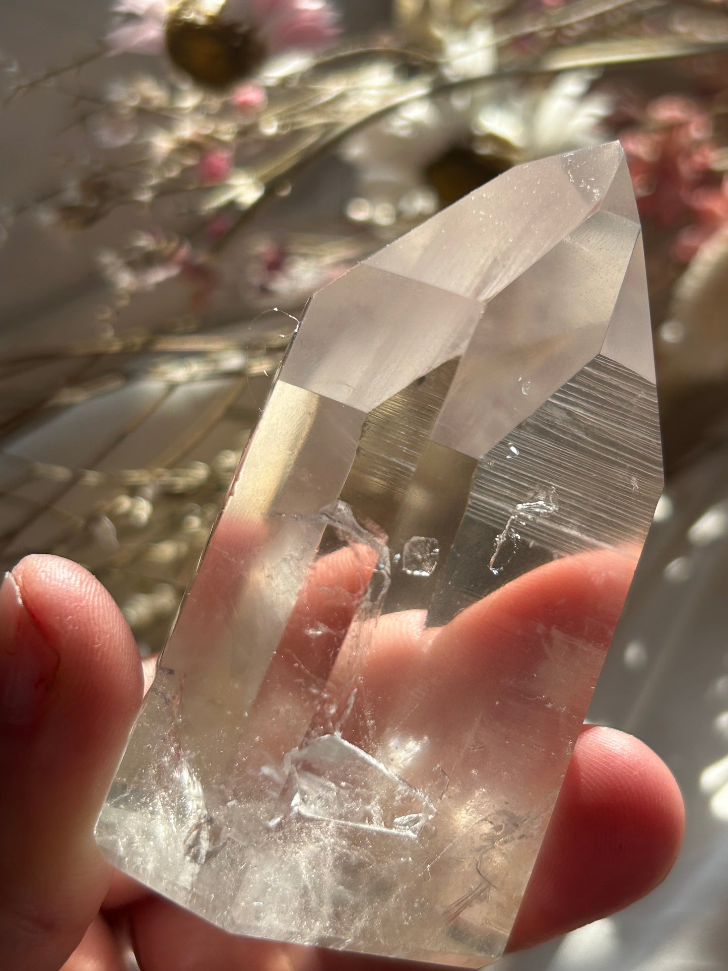 Semi Polished Lemurian