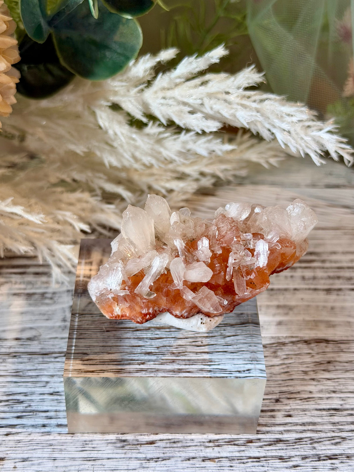 Natural Chalcedony with Stellerite and Heulandite featuring intricate zeolite crystal formations and unique mineral growth.