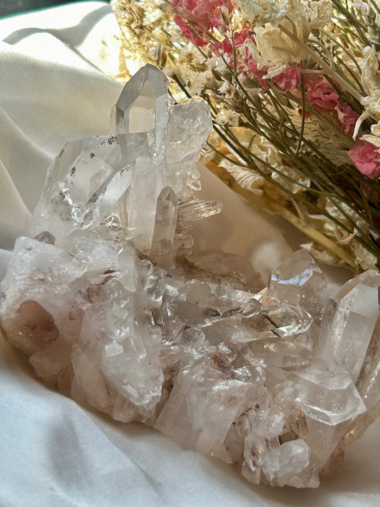 Sacred Pink Lemurian