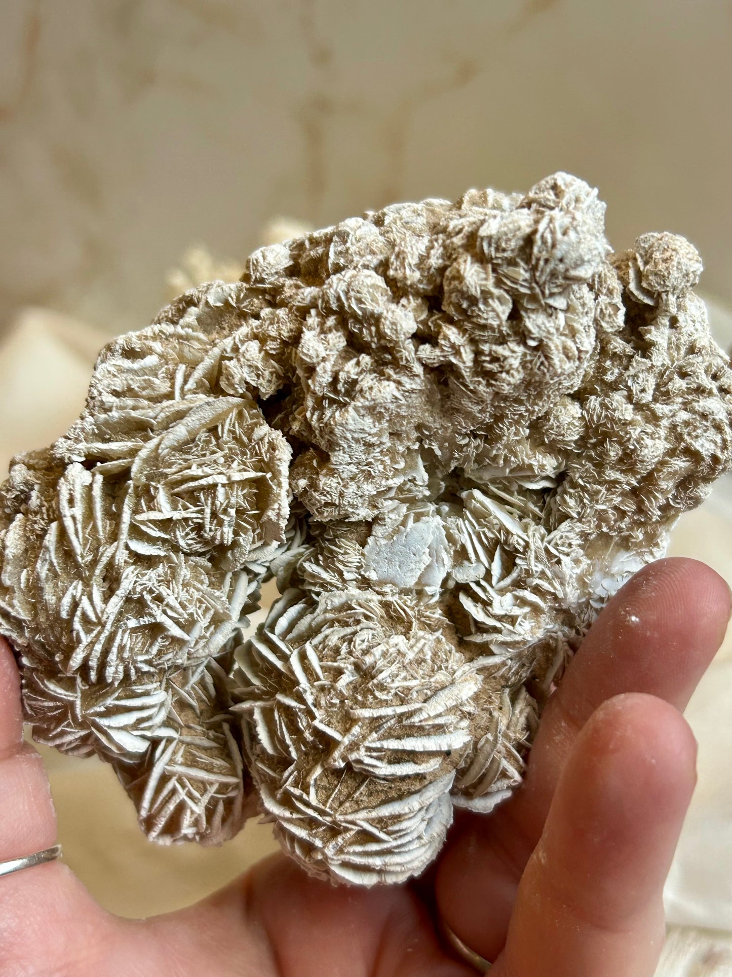 Desert Rose Crystal (Gypsum Rosette) – Natural Grounding & Clarity Stone