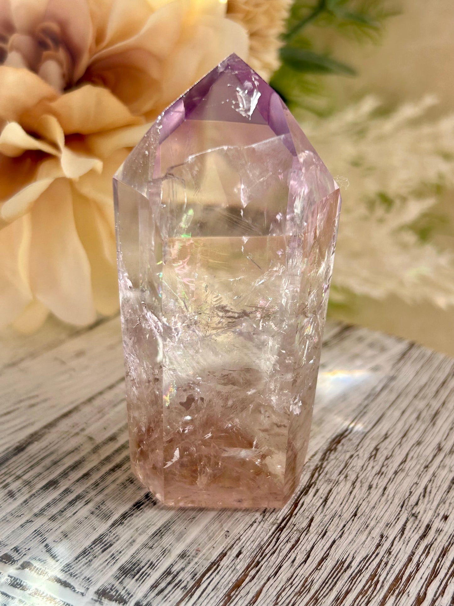 “Powellite” Amethyst | UV Reactive Growth, Spiritual Focus & Inner Illumination