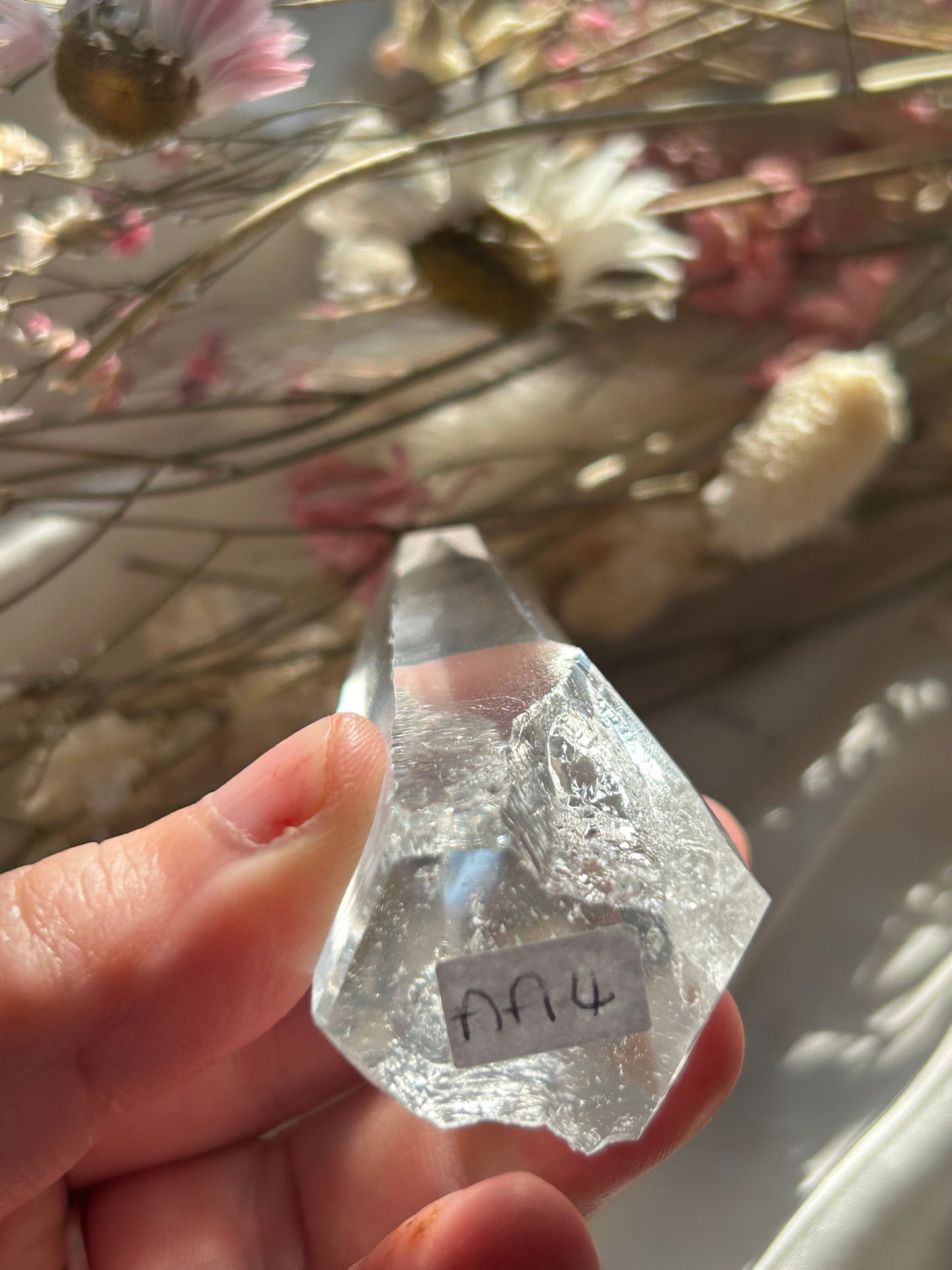 Semi Polished Lemurian