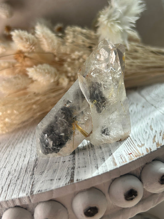 Listing for faunaraven