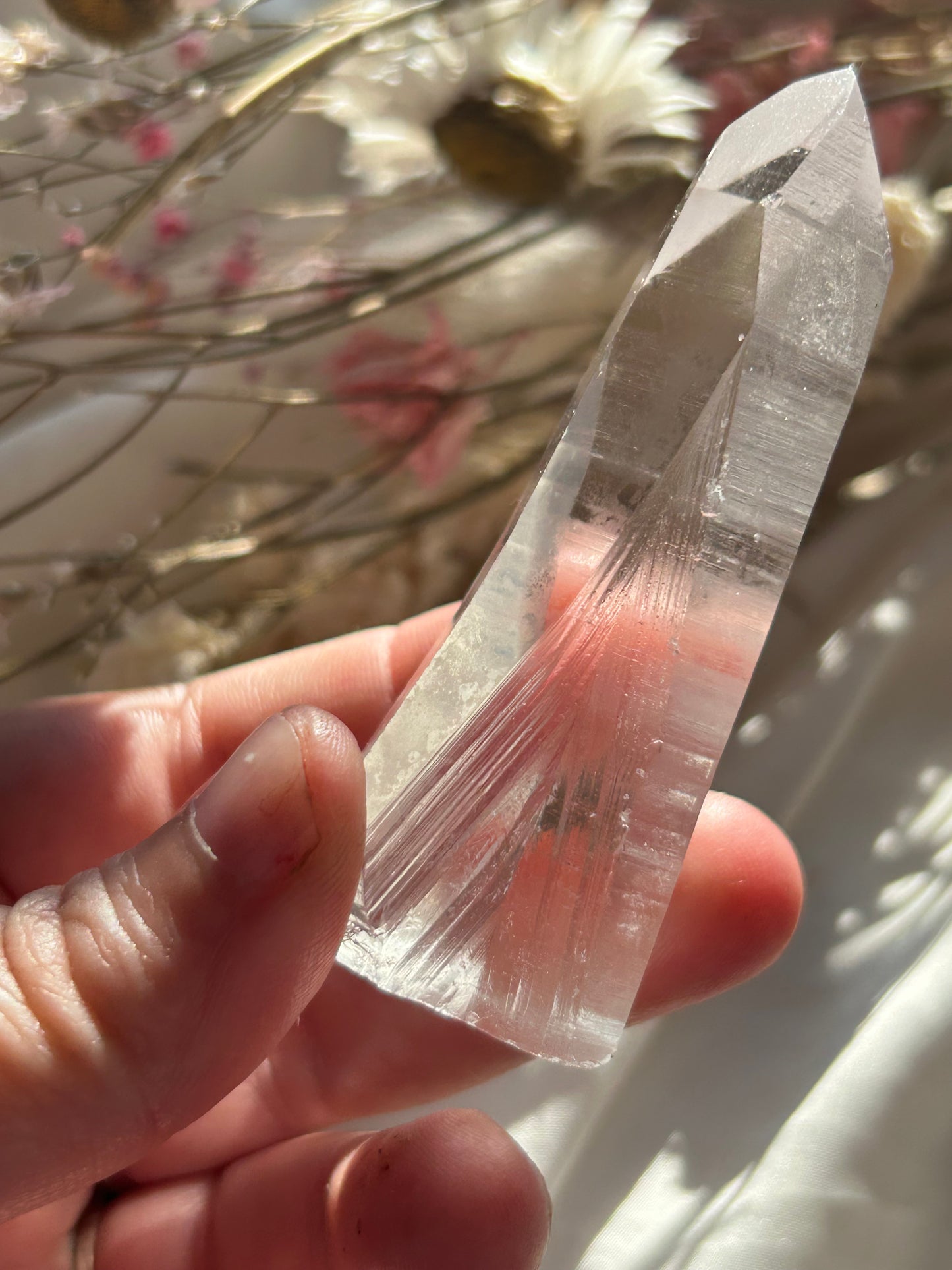 Listing for sarah_tweed