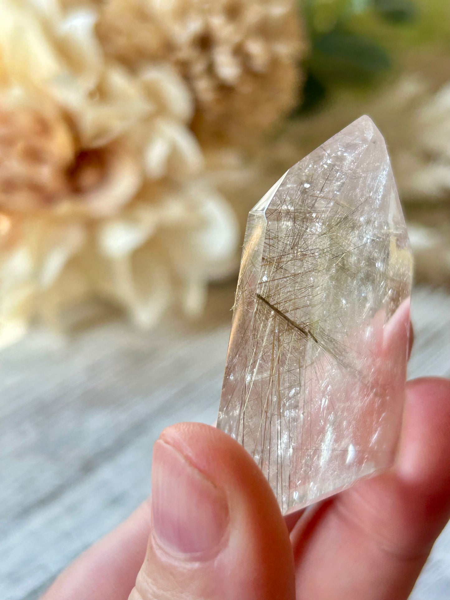 A hand holding a clear pointed crystal with fine golden-brown inclusions, photographed close-up against a softly blurred neutral background with dried flowers.