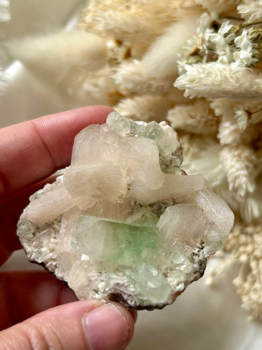 Green Apophyllite Cube | Heart-Clearing & Uplifting