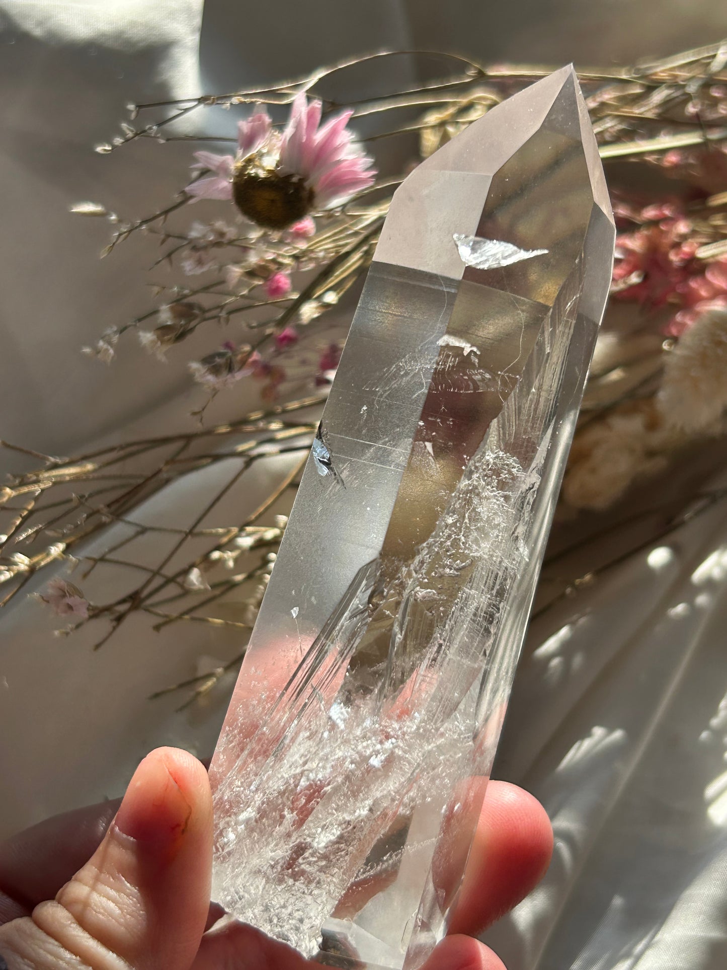 Semi Polished Lemurian