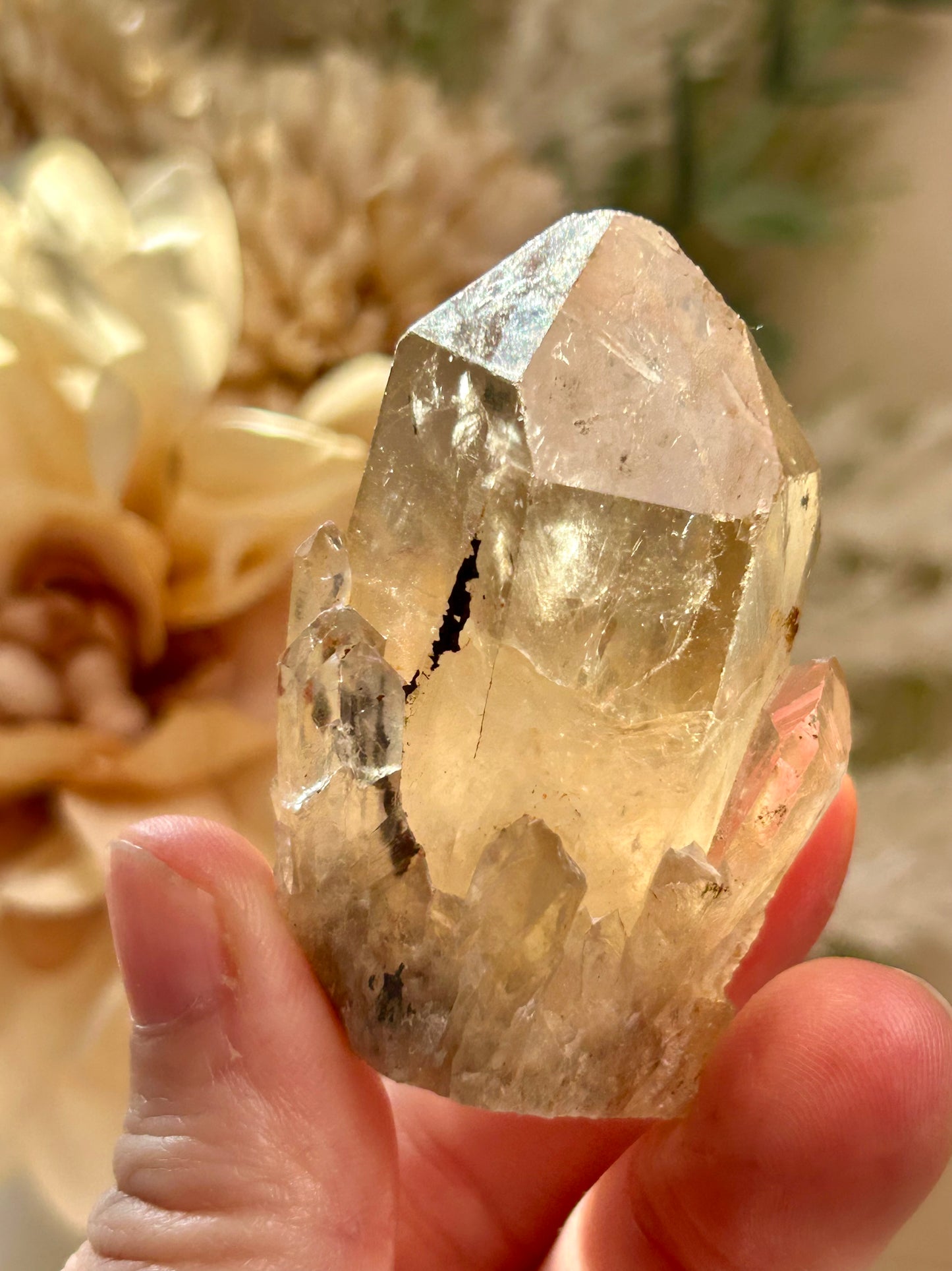 Kundalini Citrine crystal from the Democratic Republic of Congo displaying golden honey tones and unique crystal formations. Individual Citrine specimen suitable for crystal collectors and enthusiasts.