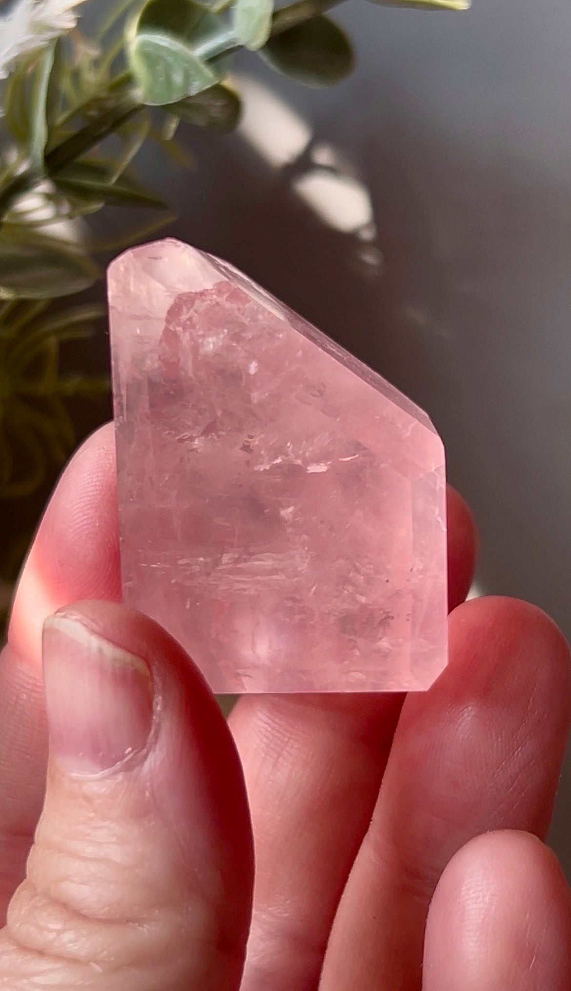 Listing for claybylittlej