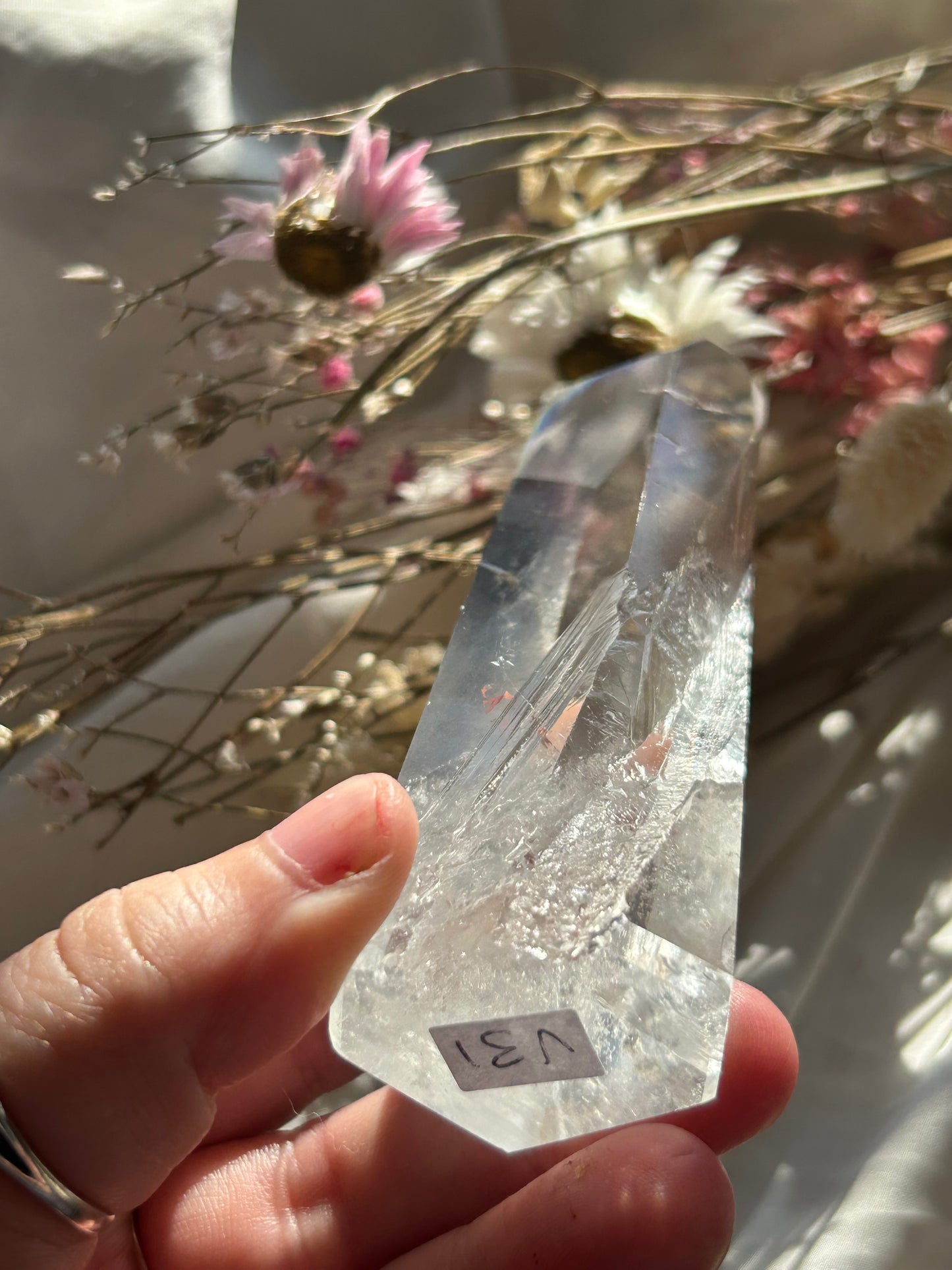 Semi Polished Lemurian