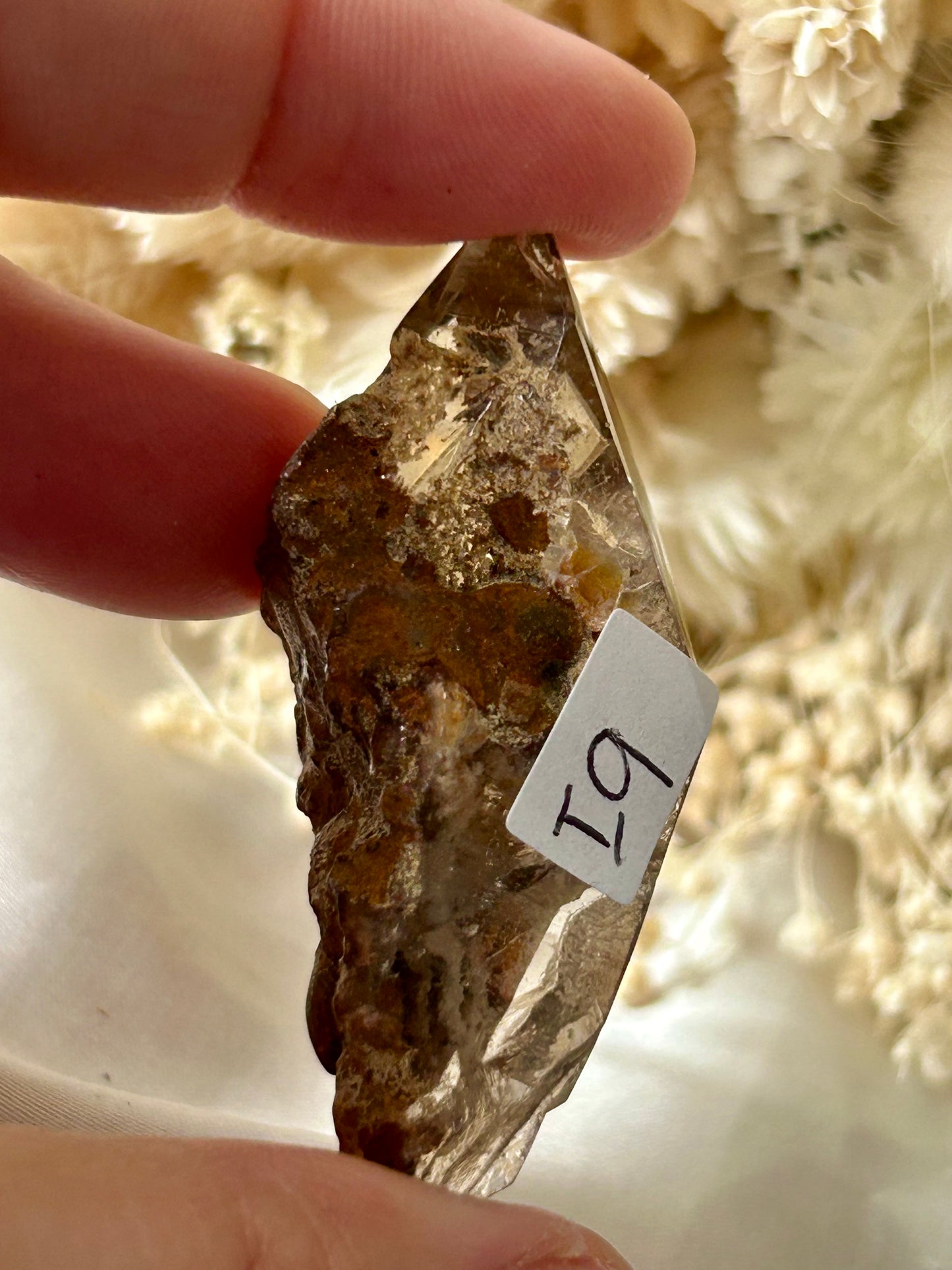 Lodolite Garden Quartz Freeform | Earth-Inspired Clarity and Inner Vision