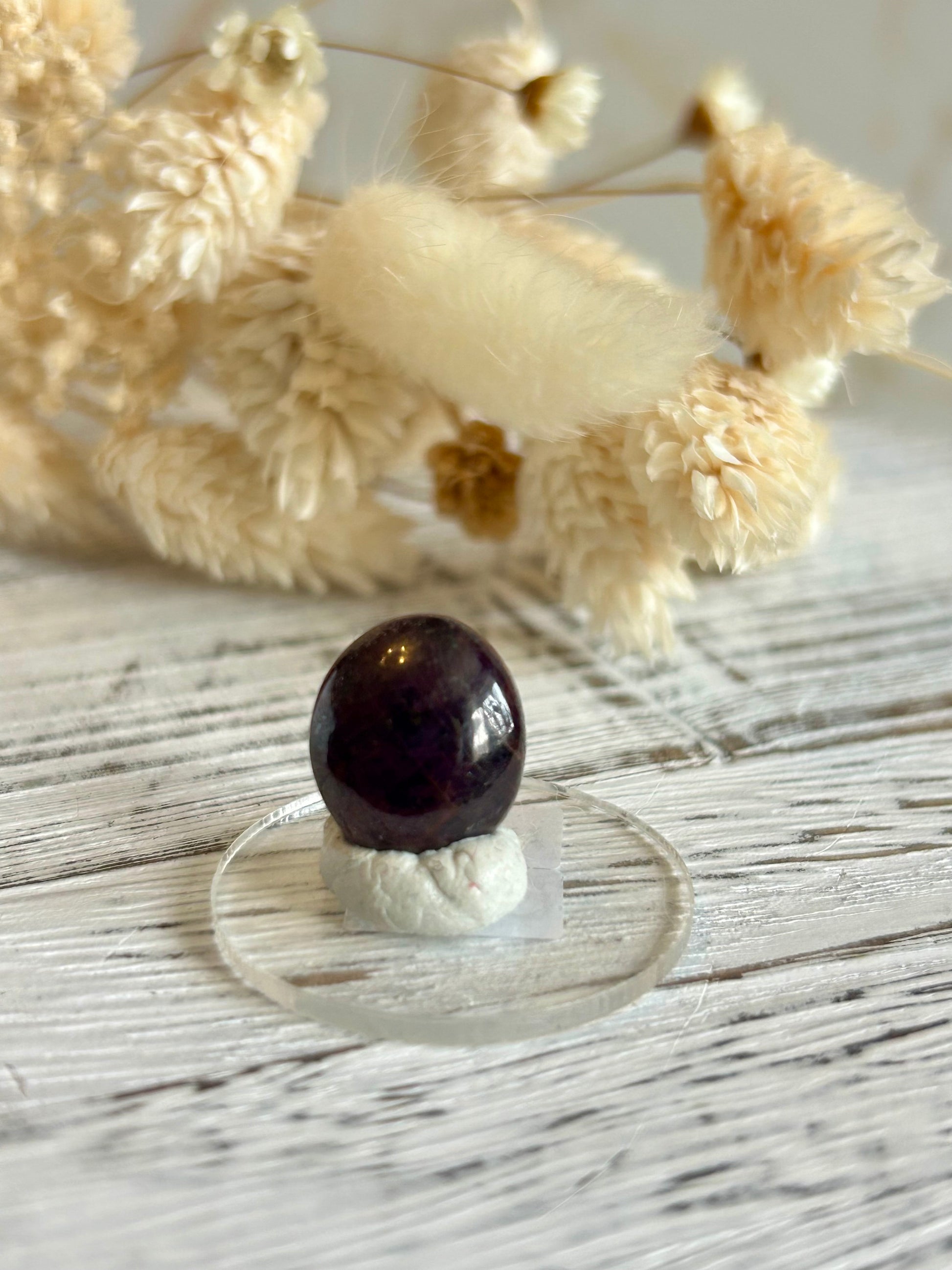 Polished natural Ruby cabochon with deep magenta-red tones, displayed against dried florals in soft natural light