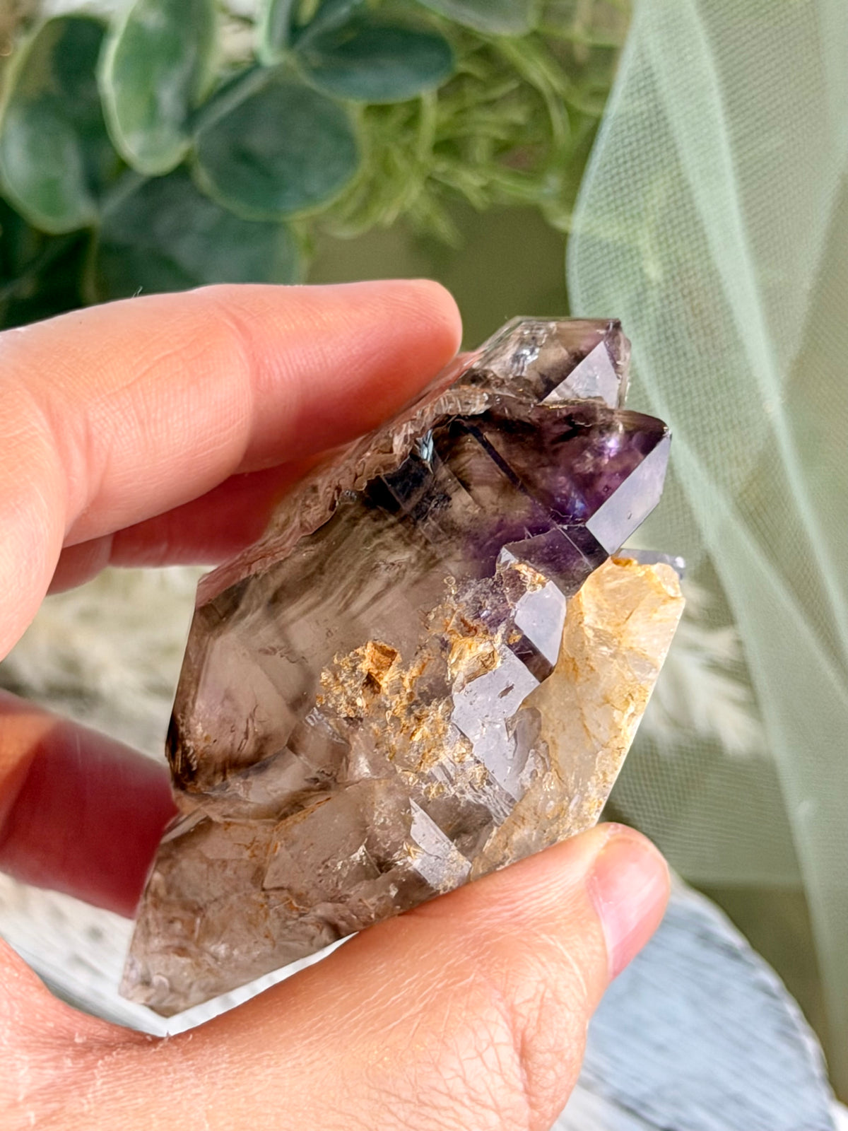Polished Amethyst Elestial | Brazil | Scepter