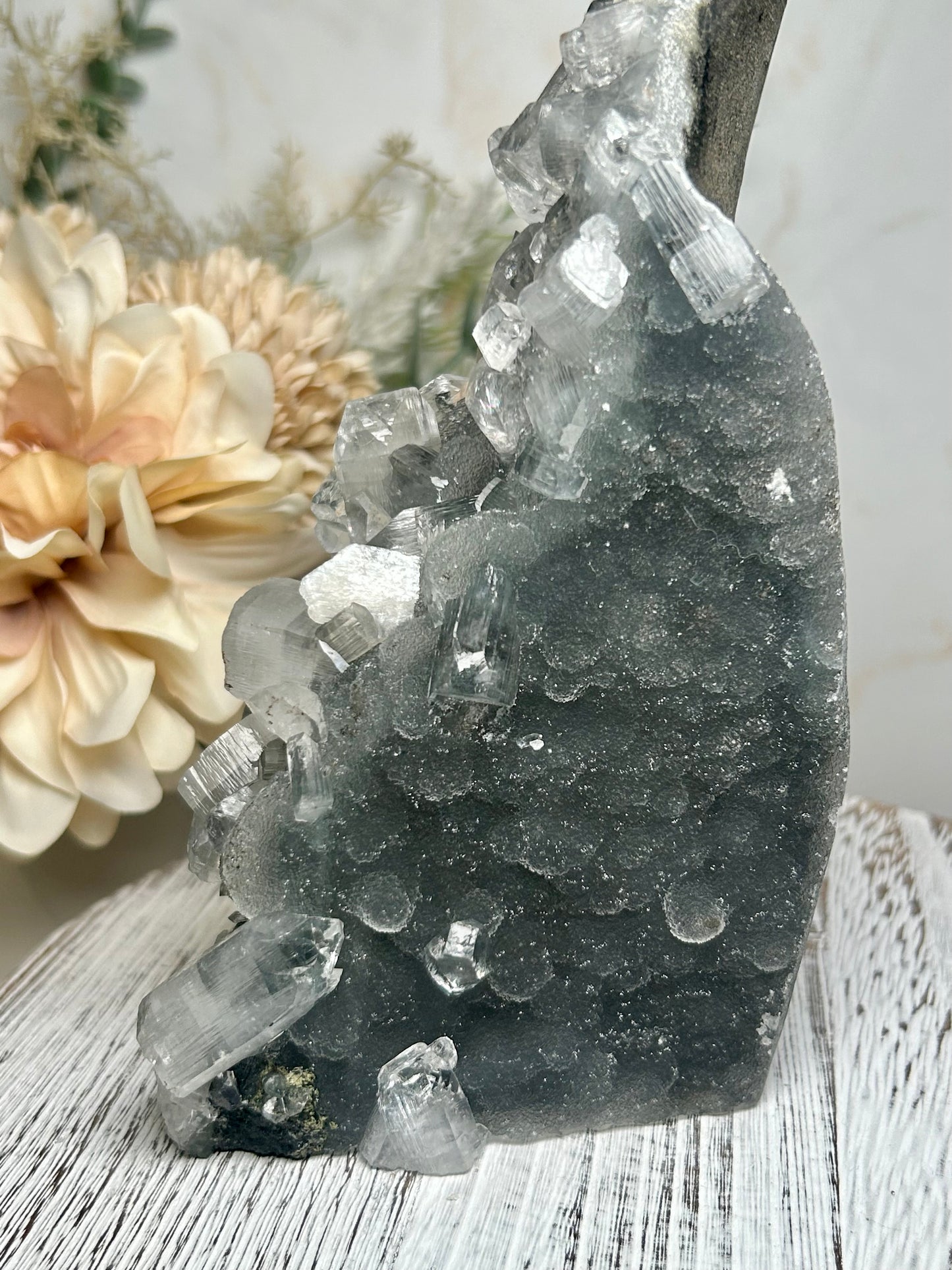 Self-Standing Apophyllite on Shimmering Grey Chalcedony – Natural Crystal Cluster Specimen