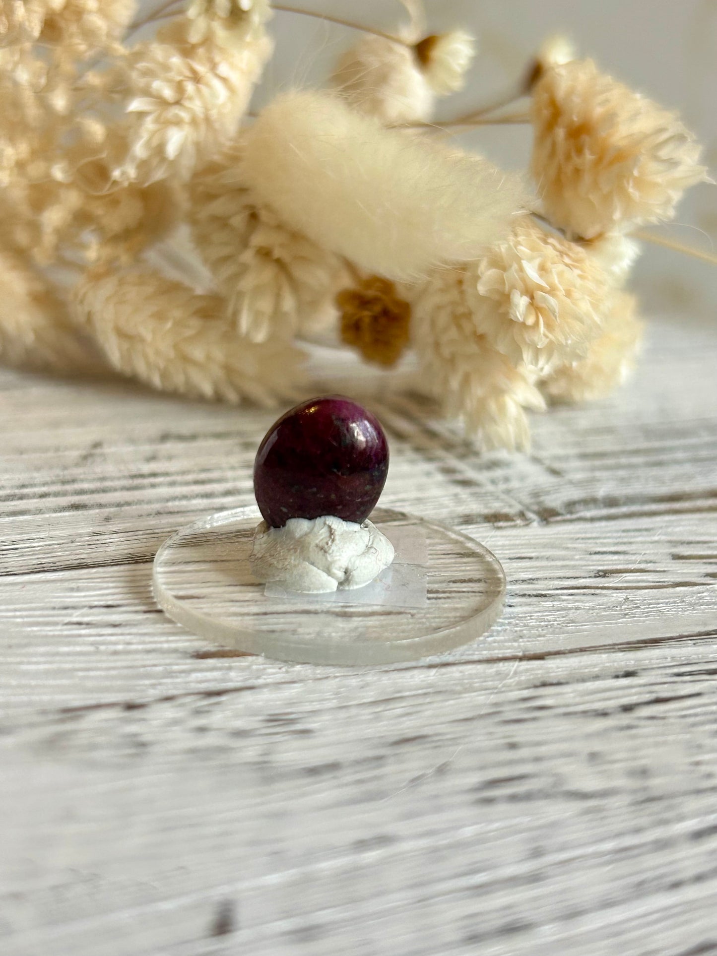 Polished natural Ruby cabochon with deep magenta-red tones, displayed against dried florals in soft natural light