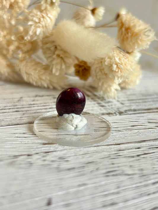 Polished natural Ruby cabochon with deep magenta-red tones, displayed against dried florals in soft natural light