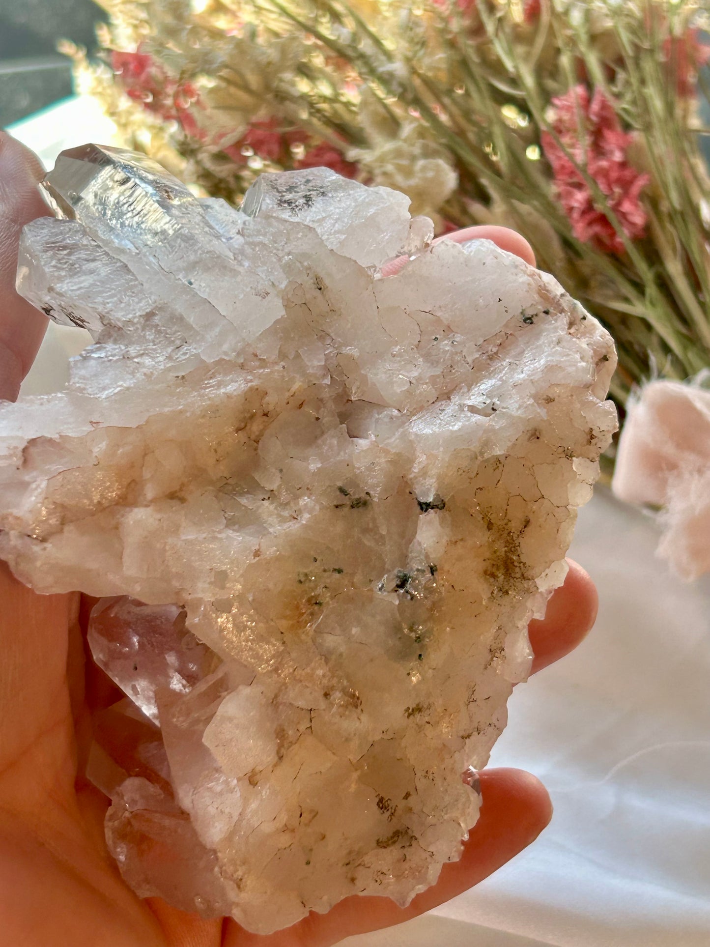 Sacred Pink Lemurian