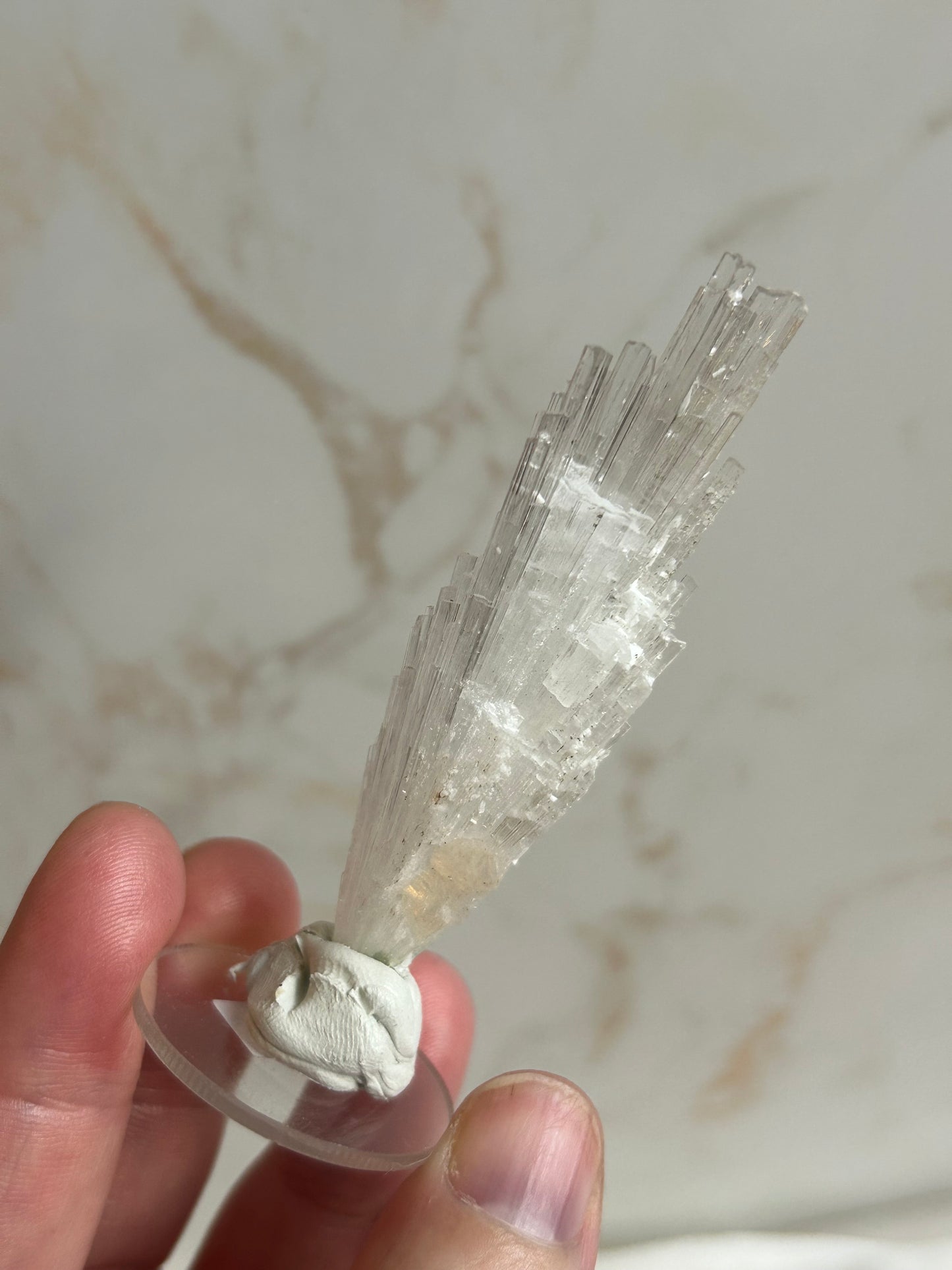 Listing Giuseppe_lupo85