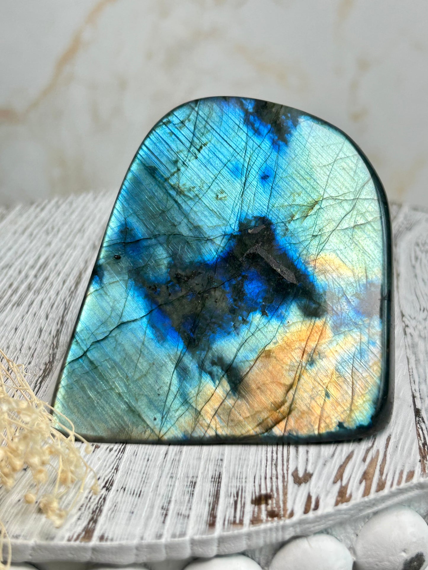 Polished labradorite freeform with vivid blue flash and iridescent surface on a distressed white wooden board with dried cream flowers