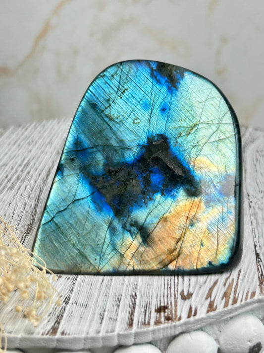 Polished labradorite freeform with vivid blue flash and iridescent surface on a distressed white wooden board with dried cream flowers