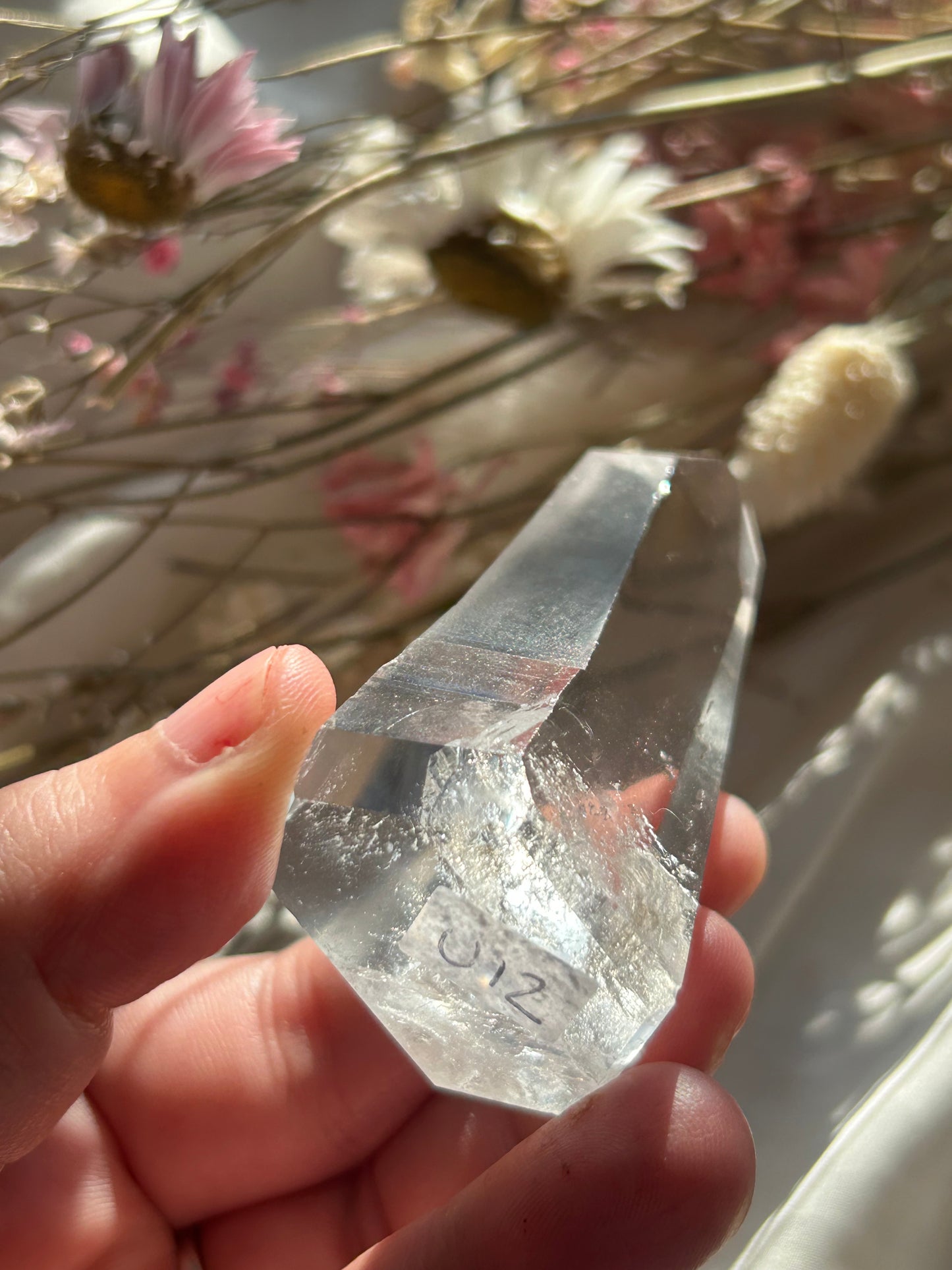 Semi Polished Lemurian