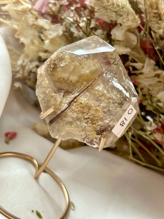 Listing for staffys_circus