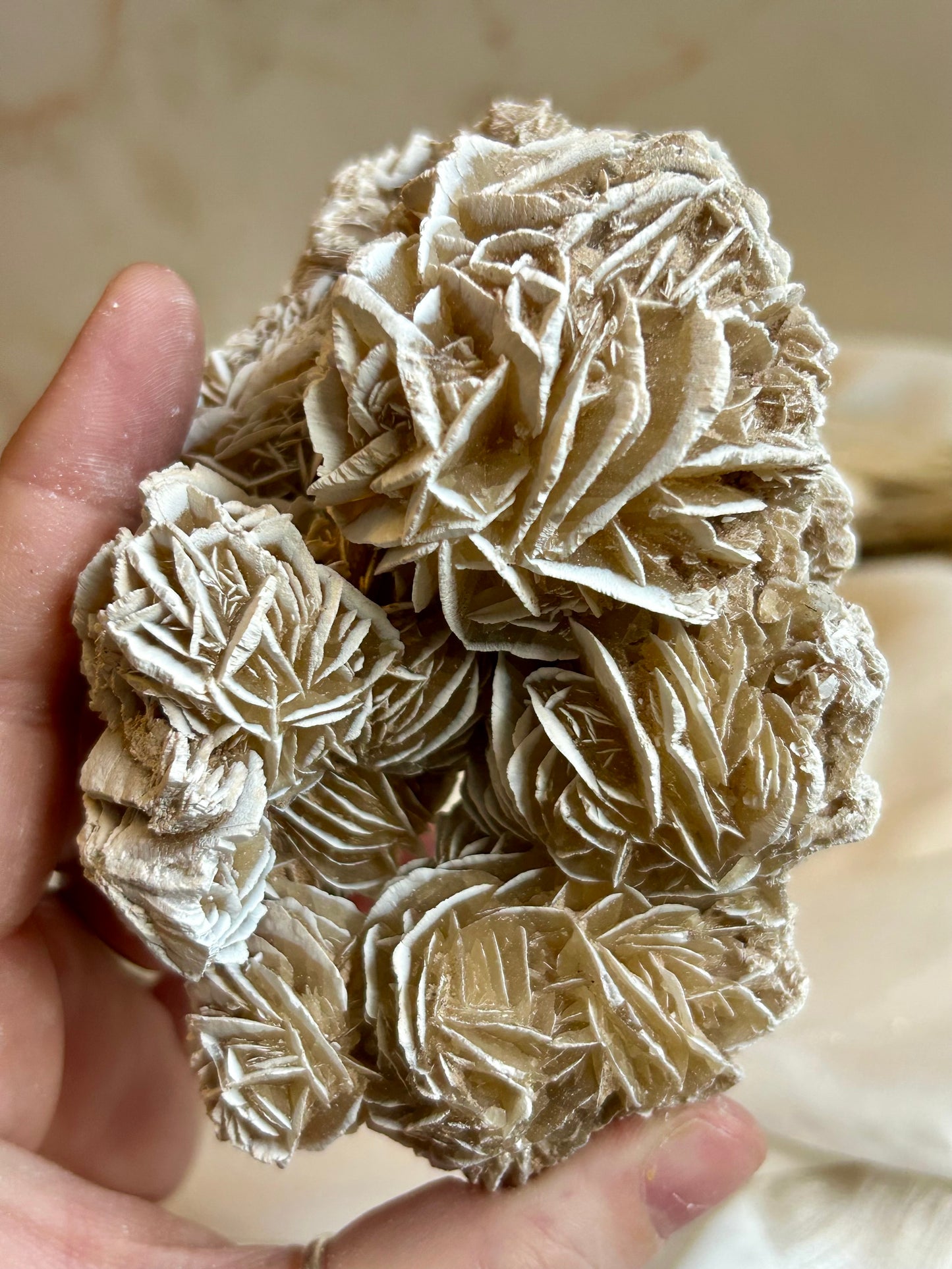 Desert Rose Crystal (Gypsum Rosette) – Natural Grounding & Clarity Stone
