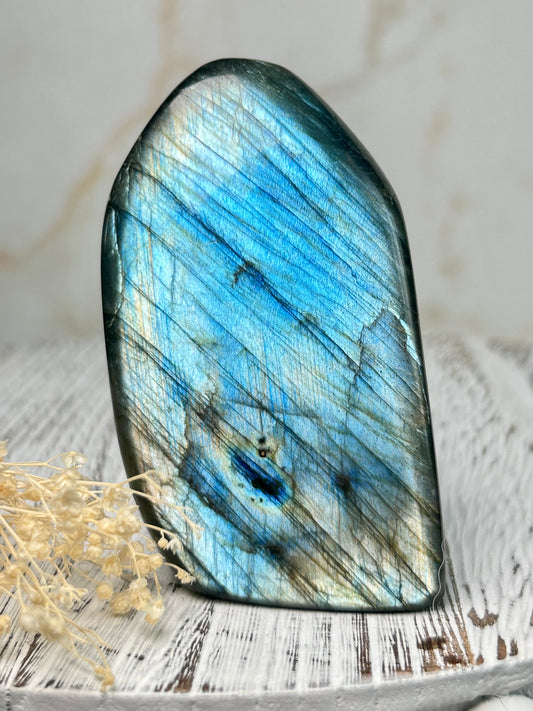 Polished labradorite freeform with vivid blue flash and iridescent surface on a distressed white wooden board with dried cream flowers