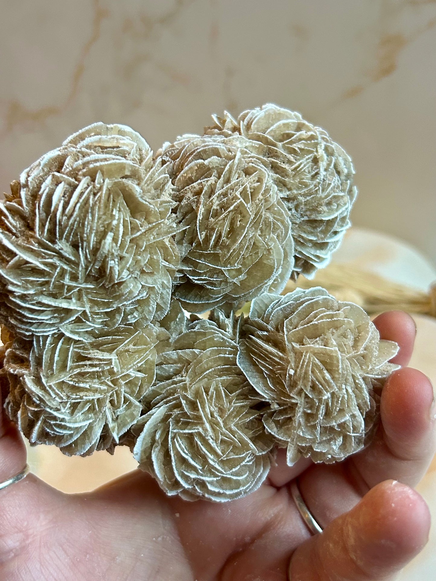 Desert Rose Crystal (Gypsum Rosette) – Natural Grounding & Clarity Stone